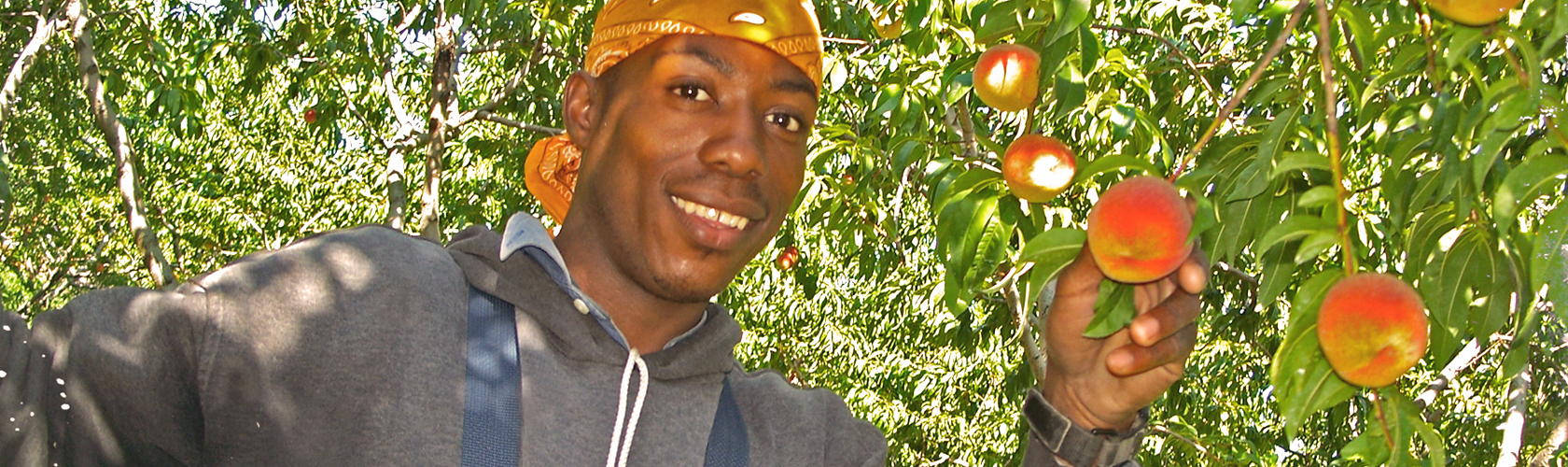 NMWIG, Happy Guy with Peaches, Niagara Migrant Workers Investment Group