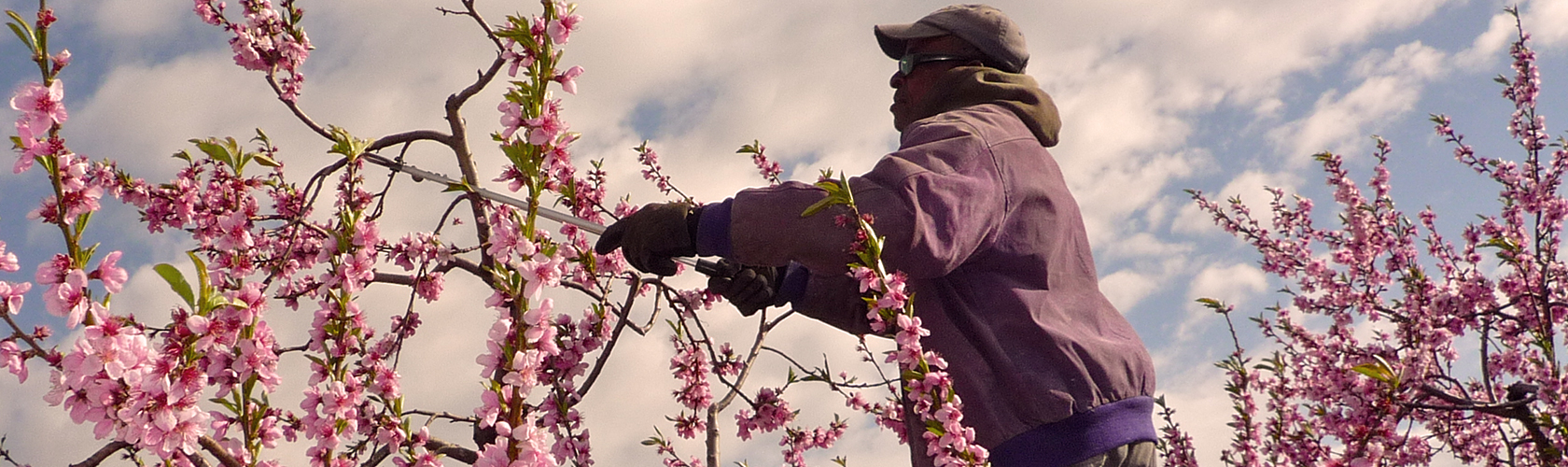 NMWIG Donate Niagara Migrant Workers Investment Group