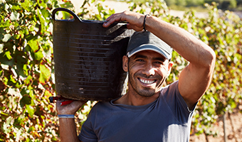 The Seasonal Agricultural Worker Program | NMWIG