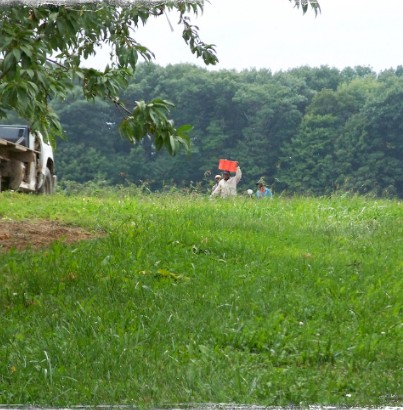 SAWP, Niagara Migrant Farm Workers Program